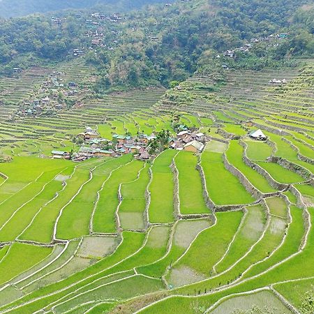 Banaue Transient House Bed And Breakfast Esterno foto