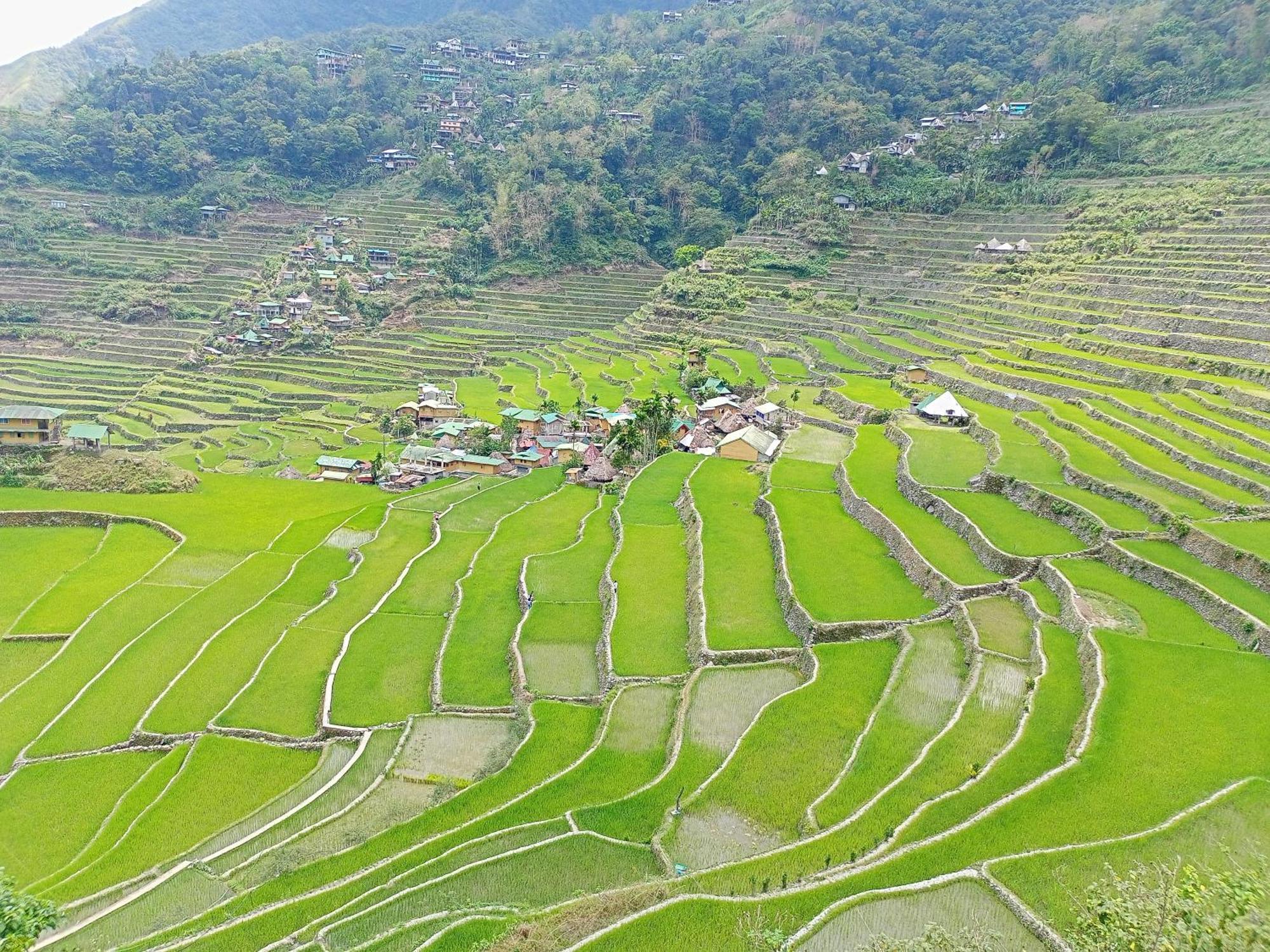 Banaue Transient House Bed And Breakfast Esterno foto